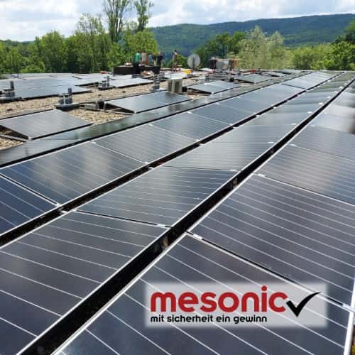 Gallery Item 1 copy copy copy